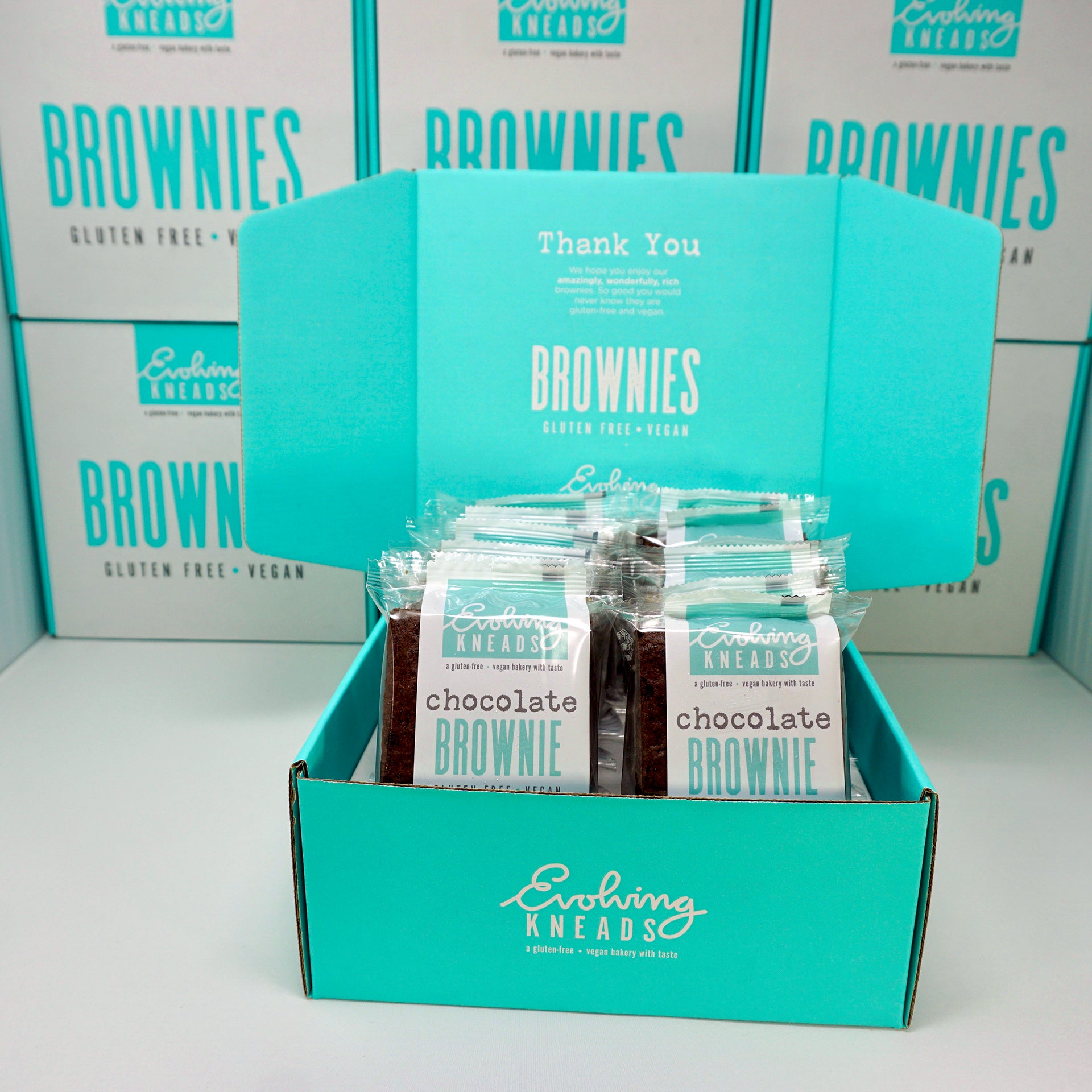 10 Pack: Chocolate Brownies